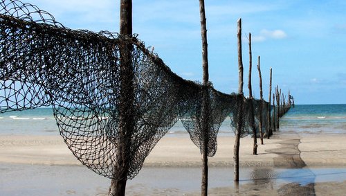 How to Choose Fishing Gear