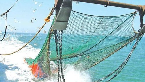 What should be noted when determining the quality of fishing nets?