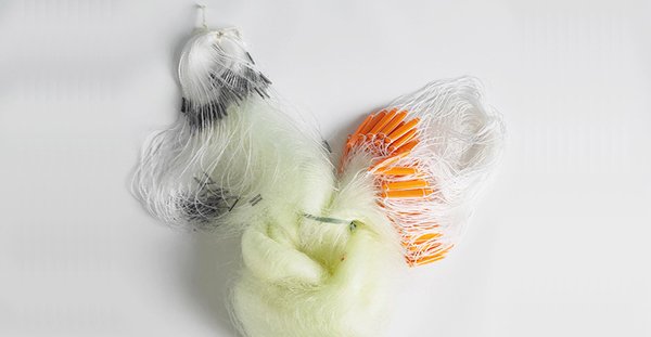 Gill  Net