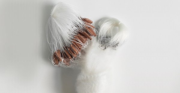 Gill Net